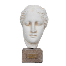 Load image into Gallery viewer, YFEIA Classical Plaster Head Sculpture