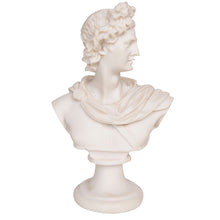Load image into Gallery viewer, Classical Apollo-Style Bust on Pedestal
