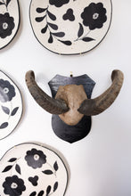 Load image into Gallery viewer, Unique Horn with Wooden Wall Mount
