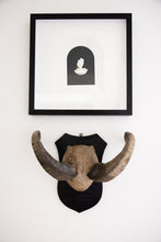Load image into Gallery viewer, Framed Bust Intaglios
