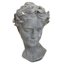 Load image into Gallery viewer, Vintage Grecian Plaster Bust
