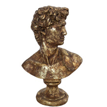 Load image into Gallery viewer, Gold David Bust
