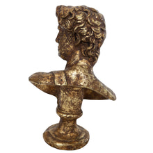 Load image into Gallery viewer, Gold David Bust
