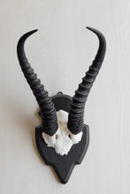 Load image into Gallery viewer, Antelope Horns
