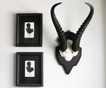 Load image into Gallery viewer, Antelope Horns
