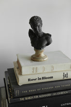 Load image into Gallery viewer, Rose in Bloom Book

