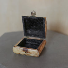 Load image into Gallery viewer, Antique Bronze and Ivory Box
